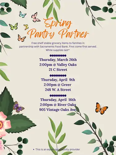 Spring Panty Partner 2026