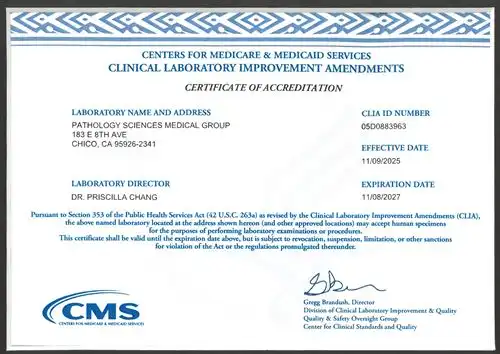 CLIA 2025-2027