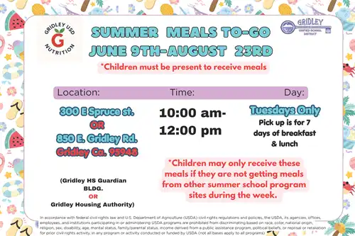 summer meals to go info