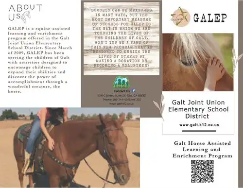 GALEP Brochure