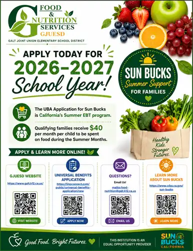 Sun Bucks Flyer