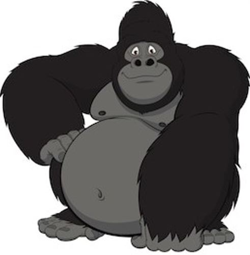 Gorilla