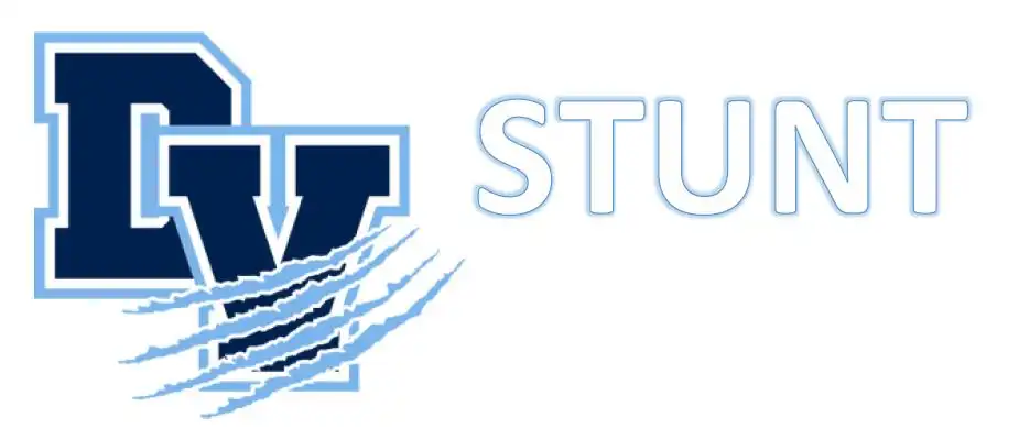 DVHS STUNT logo
