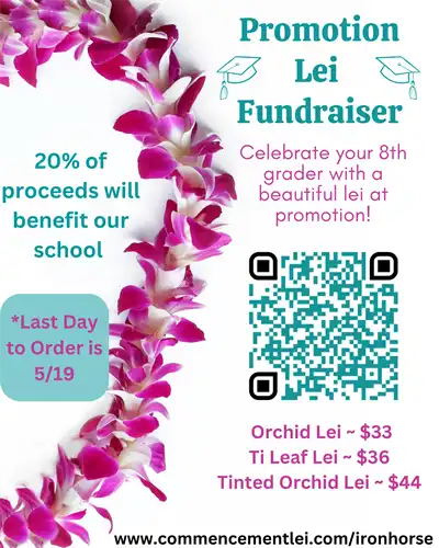 Promotion Lei Fundraiser