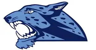 jaguar head logo