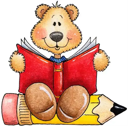 nw bear with book