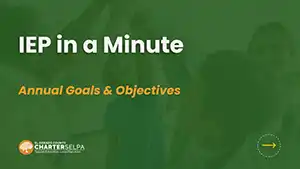 Annual Goals & Objectives thumbnail