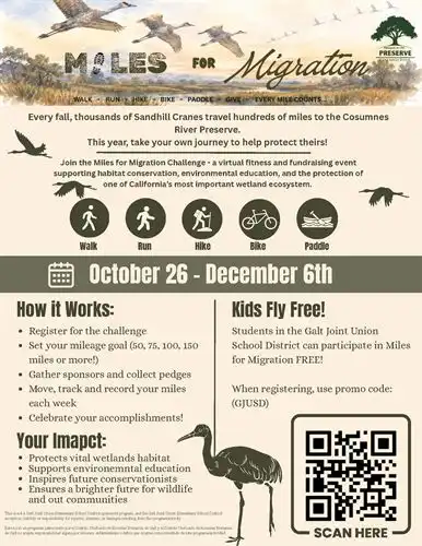Miles for Migration Flyer