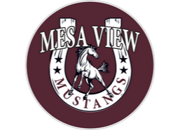 Mesa View Elementary photo