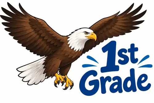 1st grade