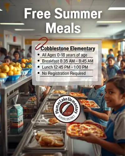 Free Summer Meals During Summer