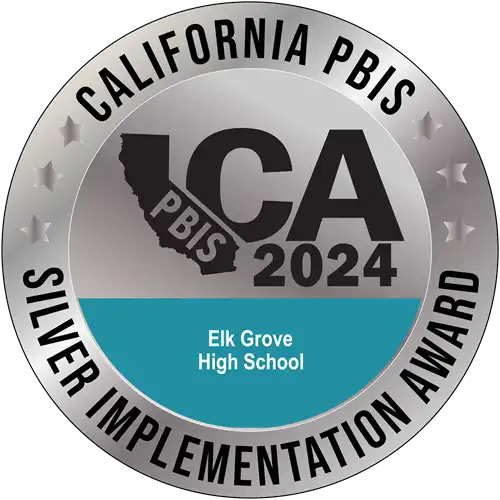 PBIS silver 2024