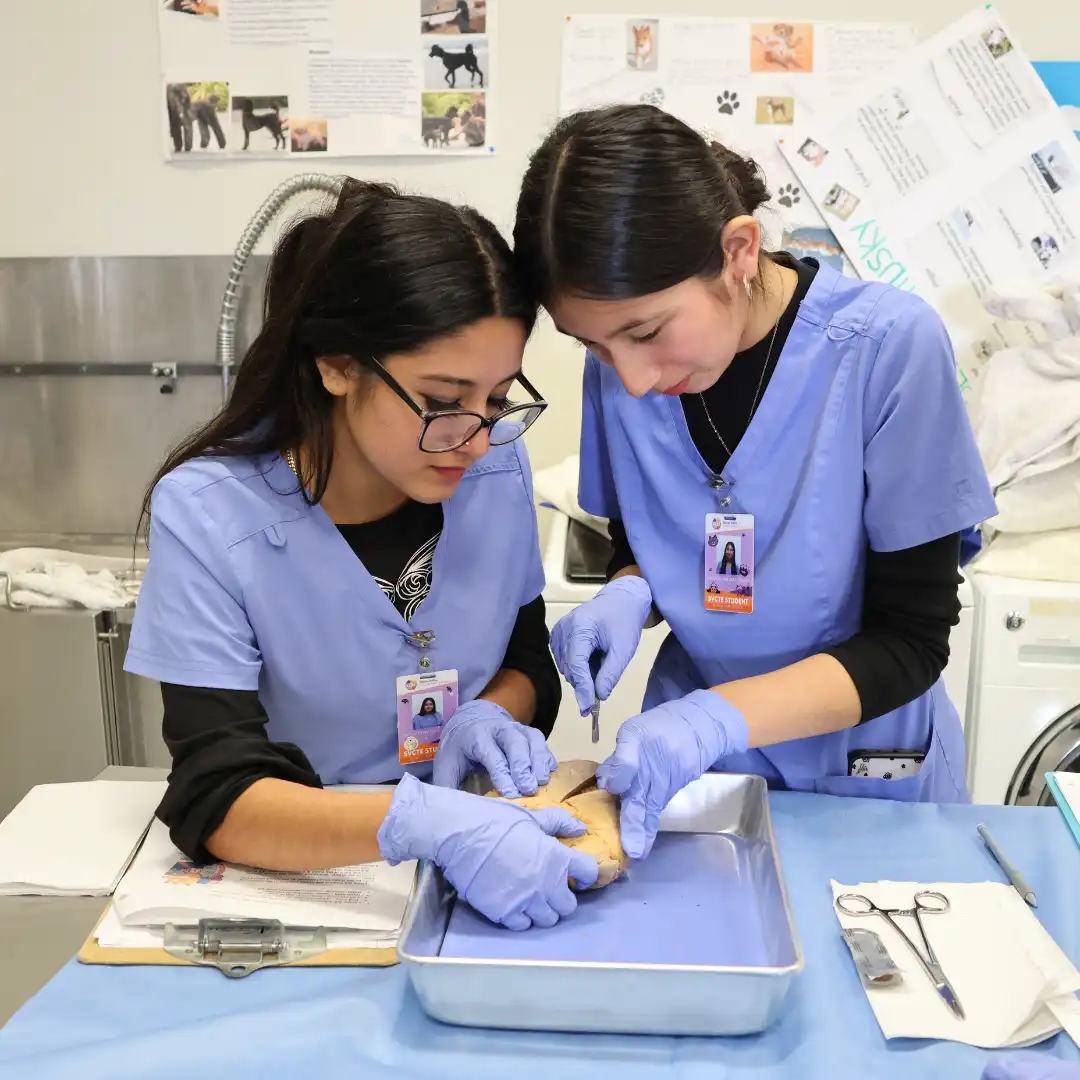 Silicon Valley Adult Education