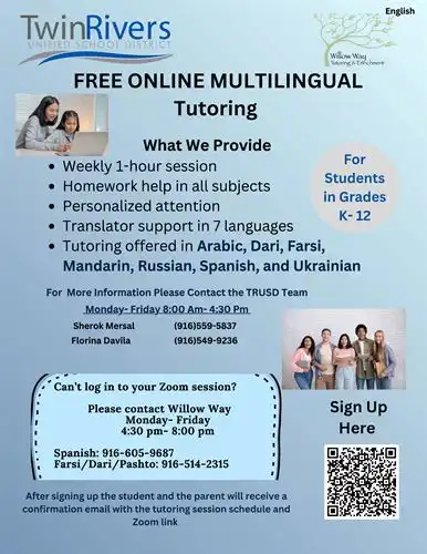 Willow Way Online Tutoring flyer