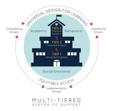 MTSS Visual