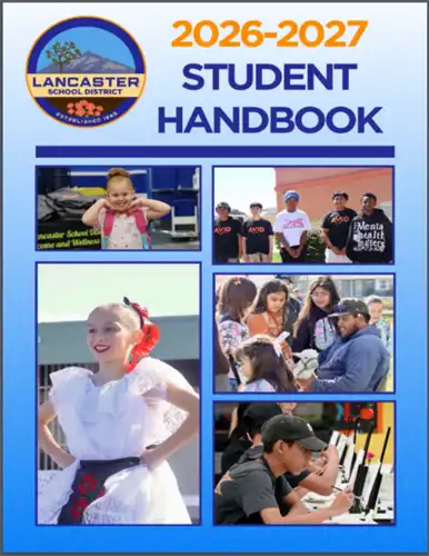 Handbook Pic
