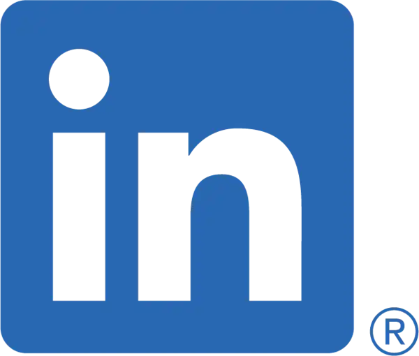 LinkedIn social media icon