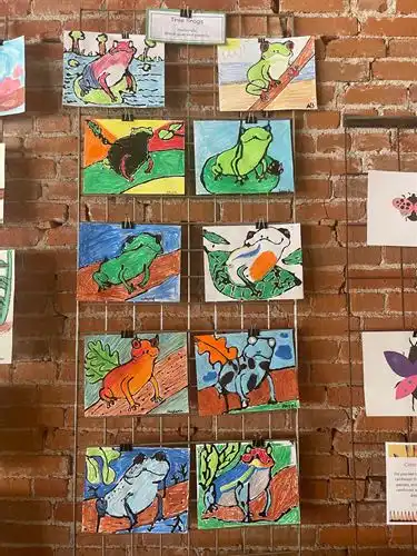 Rainforest Animals