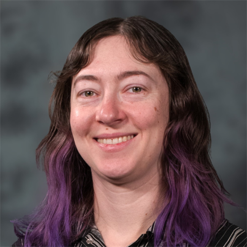 Councilmember Goldstein