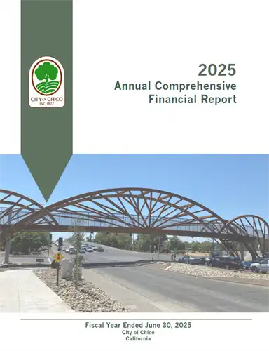 2025 Annual Financial Report Cover Image