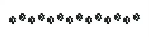 PAWPRINTS