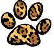 paw