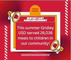 summer meal count