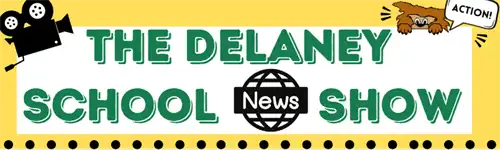 DSNS Logo