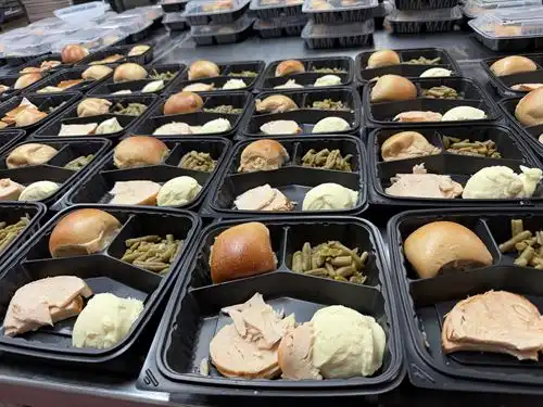Turkey Dinner Lunch