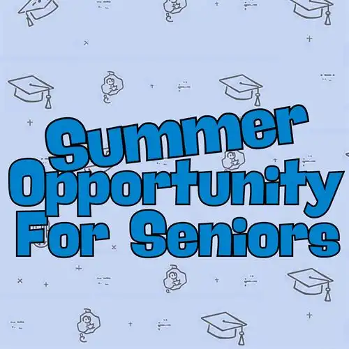 Summer Opportunity for Seniors Title Logo