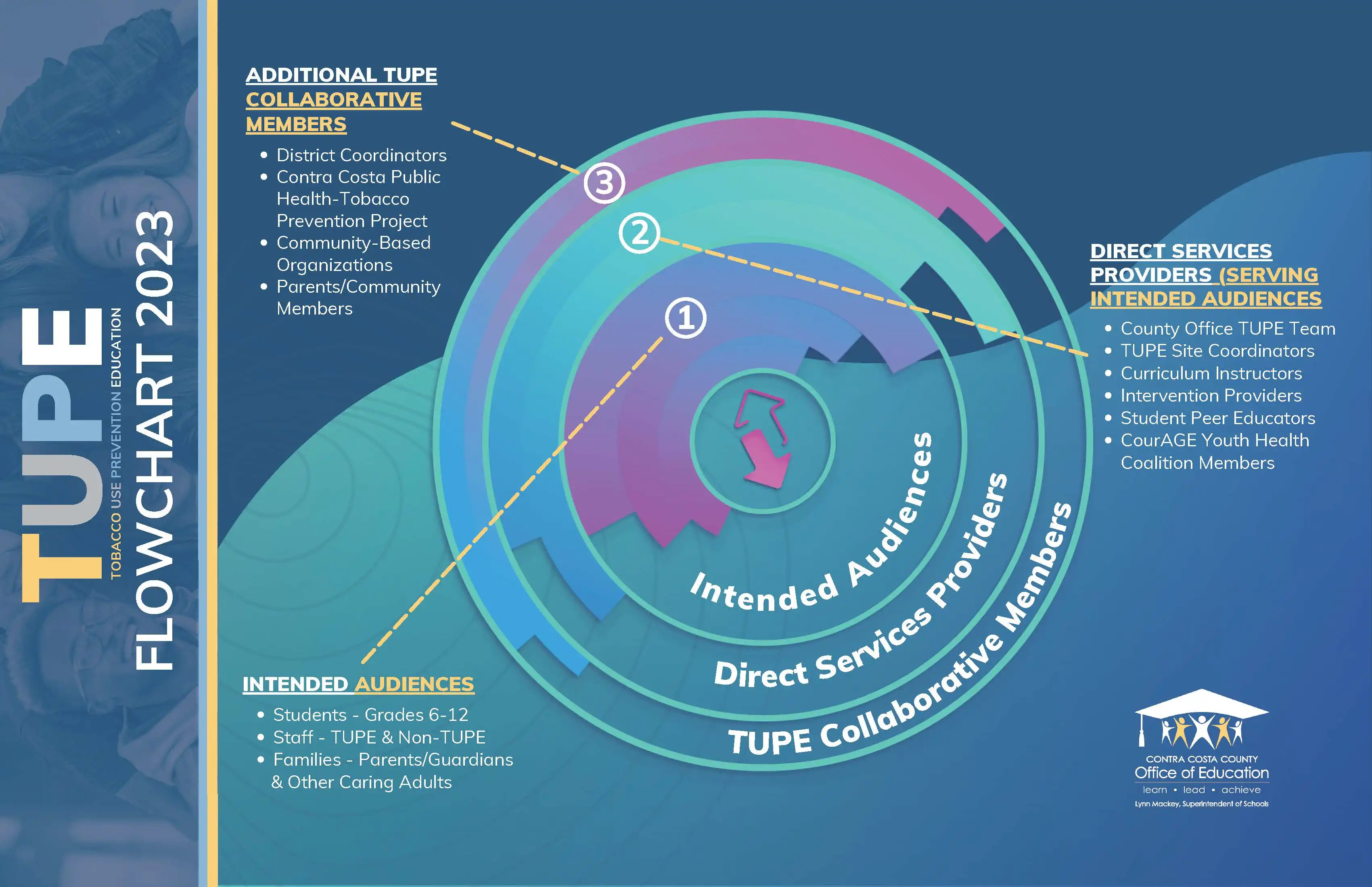 Flowchart for Intended Audiences Direct Services Providers and TUPE Collaborative Members