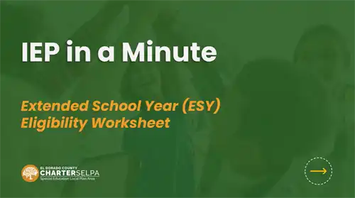 IEP In A Minute ESY