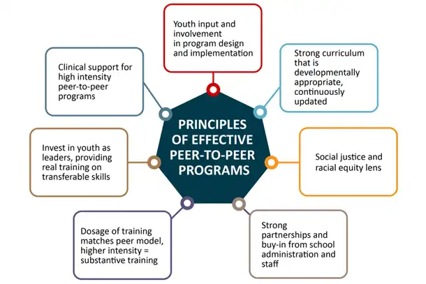 Principles of Effective Peer-to-Peer Programs Chart