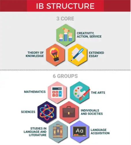 IB Structure