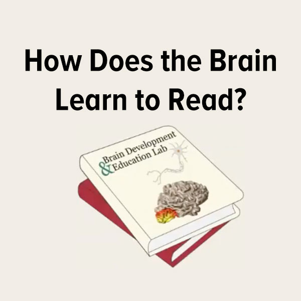 how does the brain learn to read?