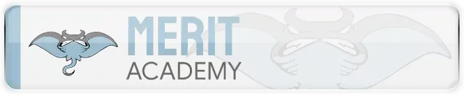Merit Academy