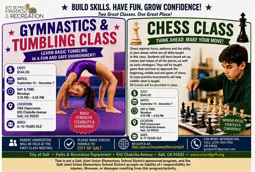 GYMNASTICS - CHESS FLYER