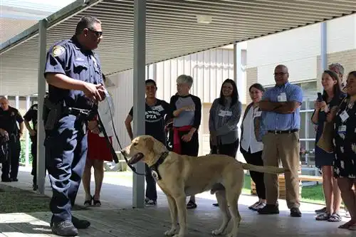 K9 Officer Presentation 
