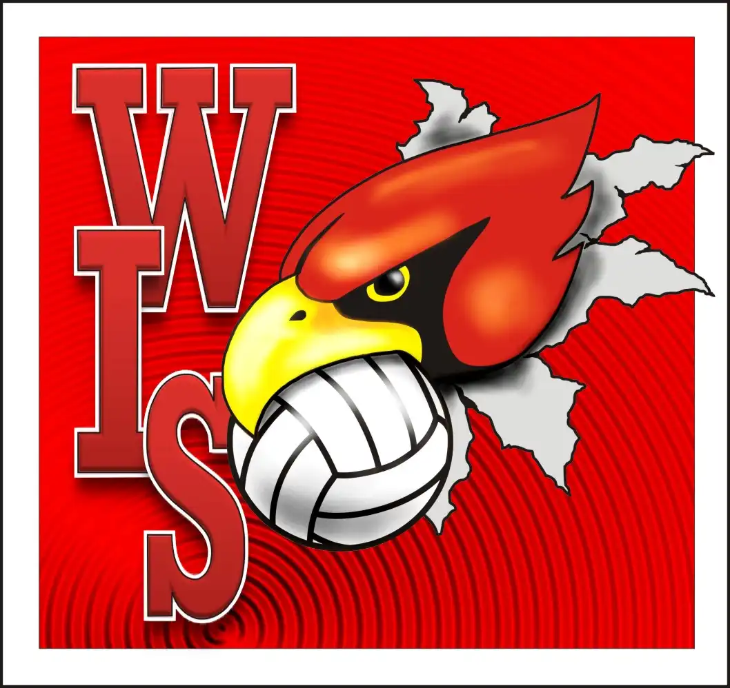 WIS vball
