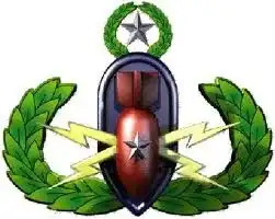 MAJ Groggett crest