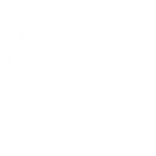 class dojo logo