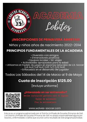 Lobitos Spring Registration Flyer - Spanish