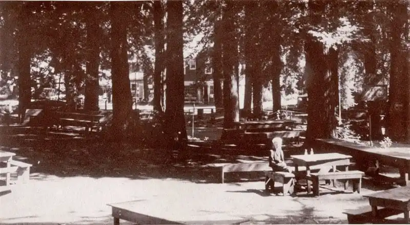 The Grove and General Store