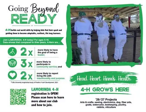 Lamorinda 4-H Flyer