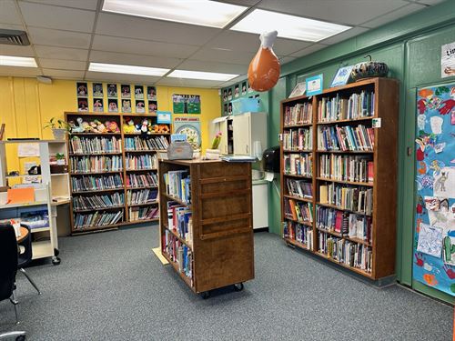 Library 3