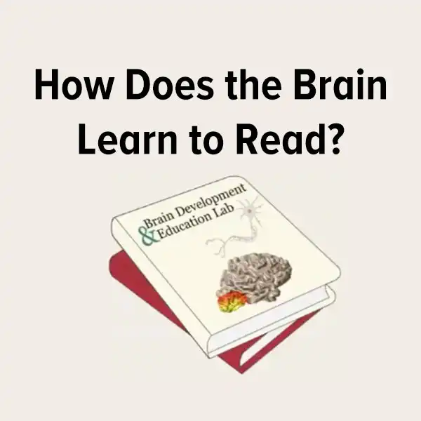 how does the brain learn to read?