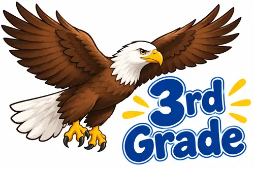 3rd grade