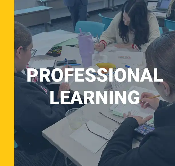 Professional Learning