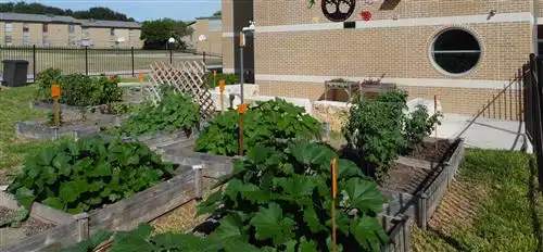 The community fruit and vegetable garden at Colonial Hills Elementary School. 