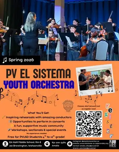 El Sistema Flyers for Youth Orchestra Sign-ups